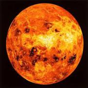 medium Venus - beschikbaar